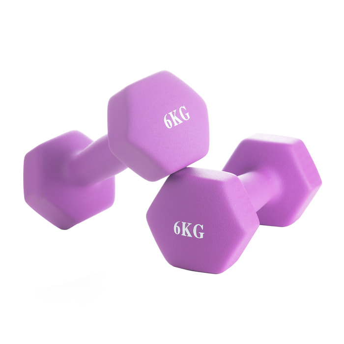 Neo Dumbbell 1 Pair Kg 6