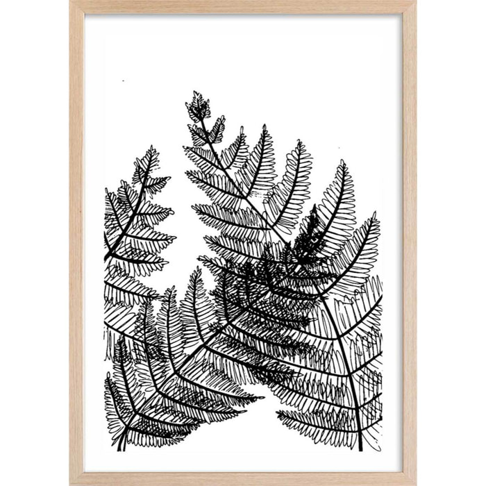 Poster landes fougères Affiche + cadre en bois - Chêne