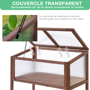 Mini serre sur pieds dim. 90L x 50l x 93H cm toit ouvrable panneaux de polycarbonate bois sapin traité