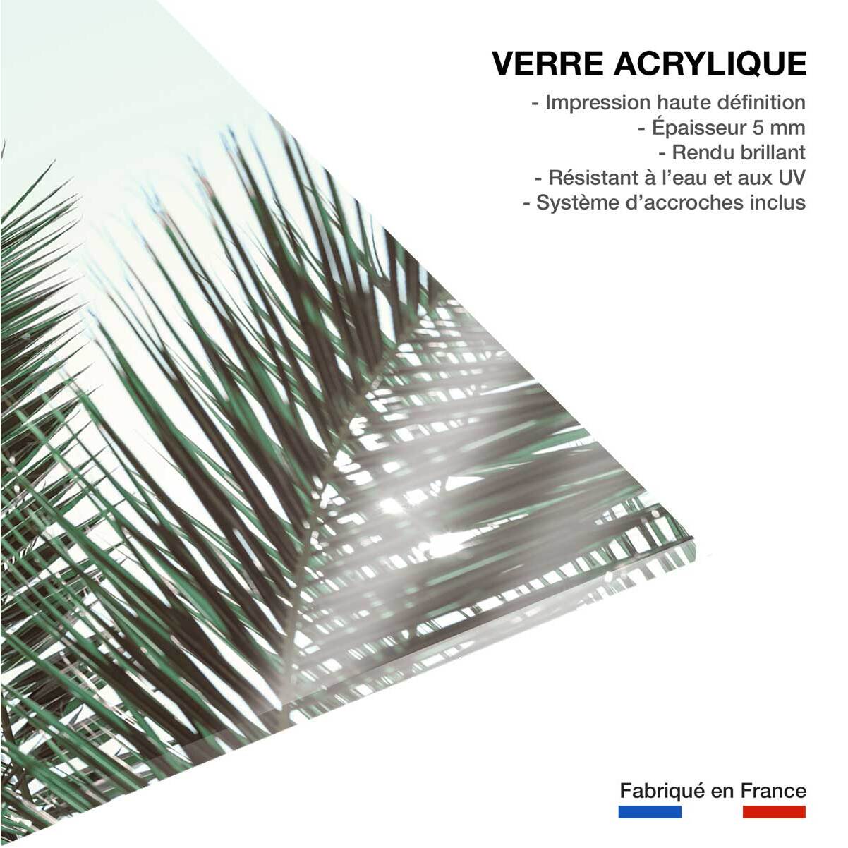 Tableau palme verte Tableau plexiglas