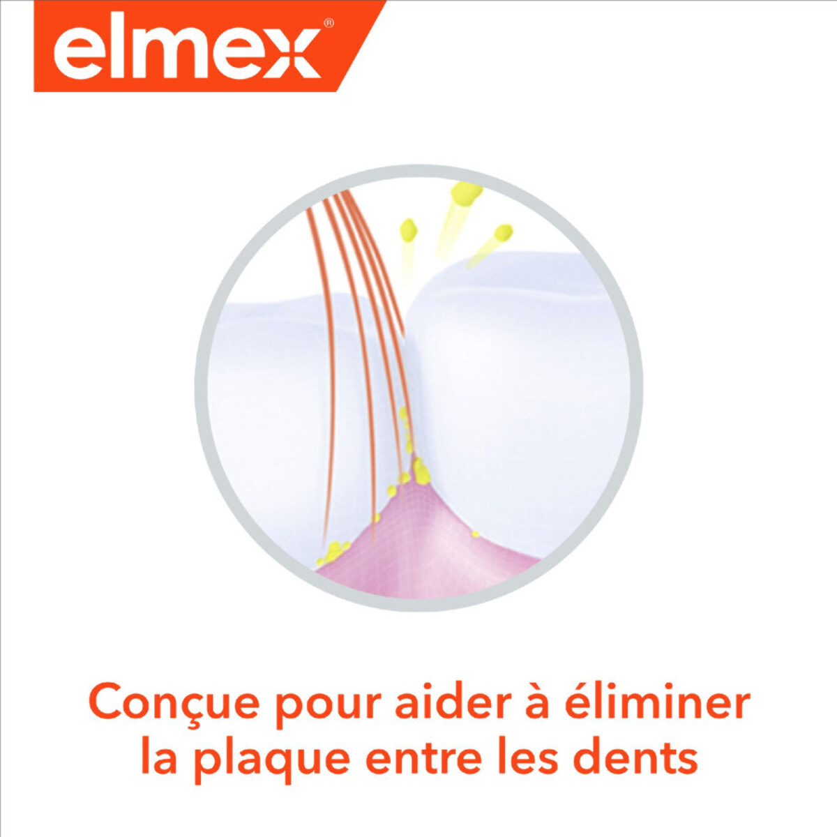 Pack de 6 - elmex - Brosse à Dents Manuelle Souple Anti-Caries Douceur