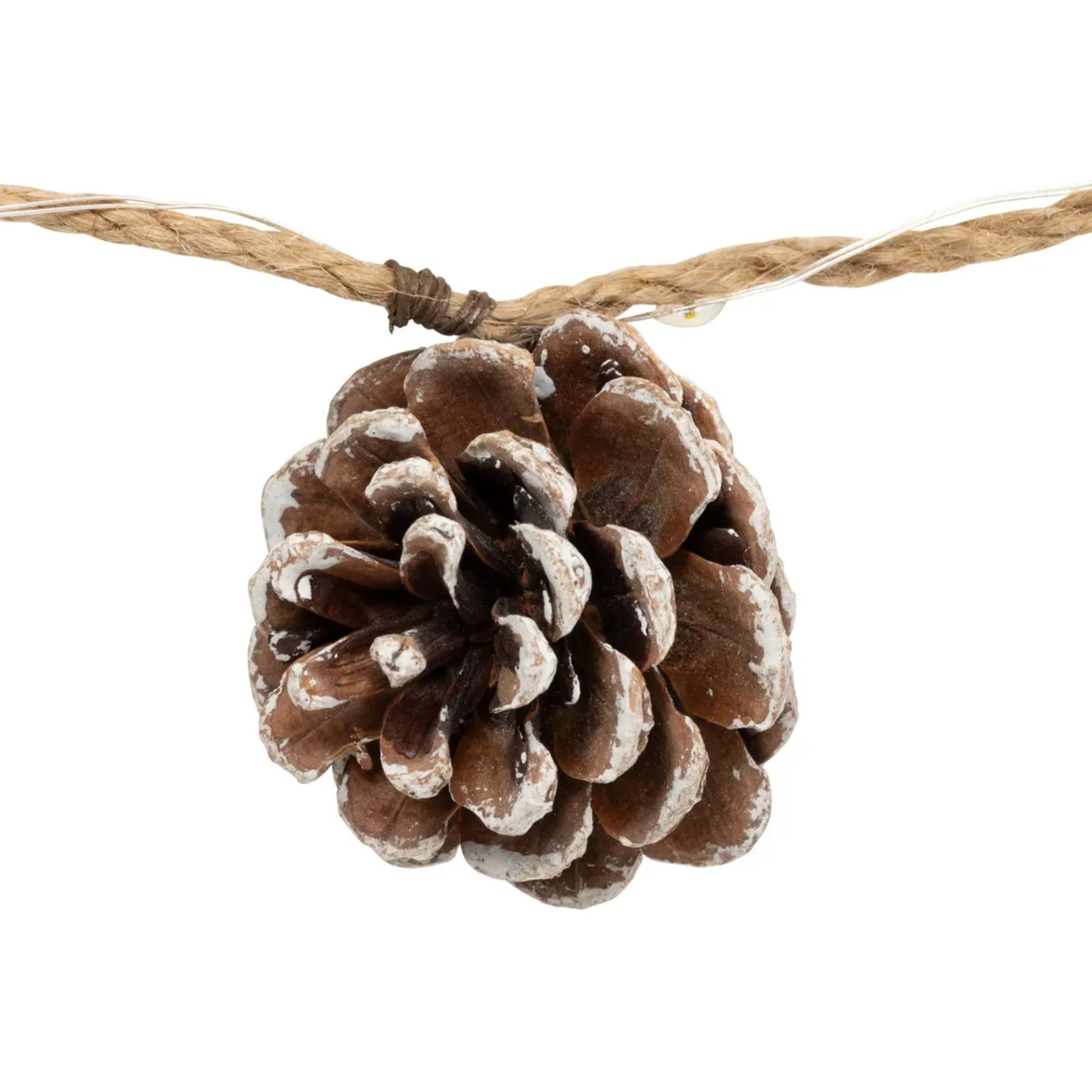 GD INT NAT PP BAIE 20LBC L220P