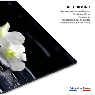 Tableau zen deco design orchidée blanche Tableau alu Dibond
