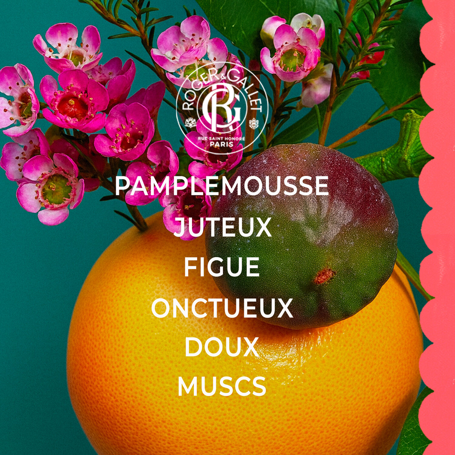 Fleur de Figuier - Parfum Solide Bienfaisant 5 g