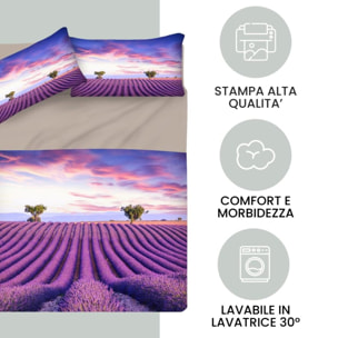 INTRECCI Set Lenzuola Matrimoniali in Cotone, Stampa Alta Qualità, Lenzuolo Sotto + Lenzuolo Sopra + 2 Federe, Comfort, Morbidezza, per Pelli Sensibili, non Stringe in Lavatrice. Fantasia: Provence