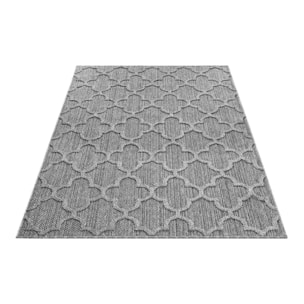 PATARA - Tapis intérieur/extérieur motif baroque gris - PAT4951GRI