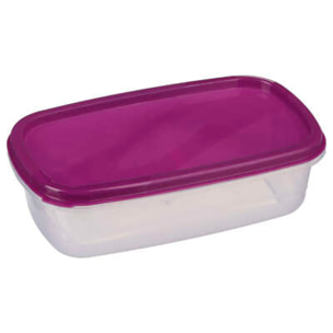 Conjunto de 6 cajas de conservación de alimentos rectangular