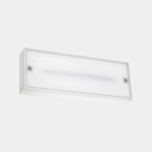 Ledsc4 LedsC4 - Aplique LED IP65 para Interior y Exterior, Eficiencia Energética, 2700K-4000K, 5W-40W, Fácil Instalación, Blanco Semitransparente