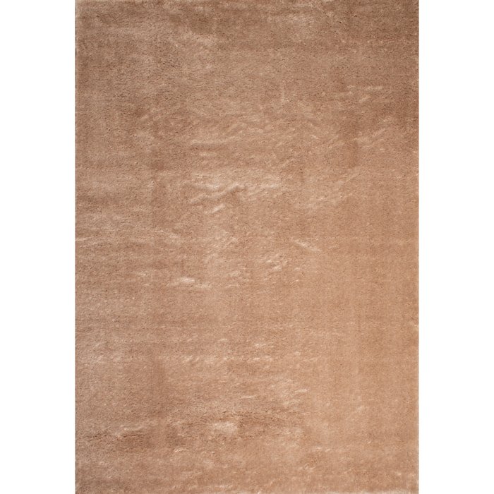 Cosy - tapis salon à poils longs tout doux, beige