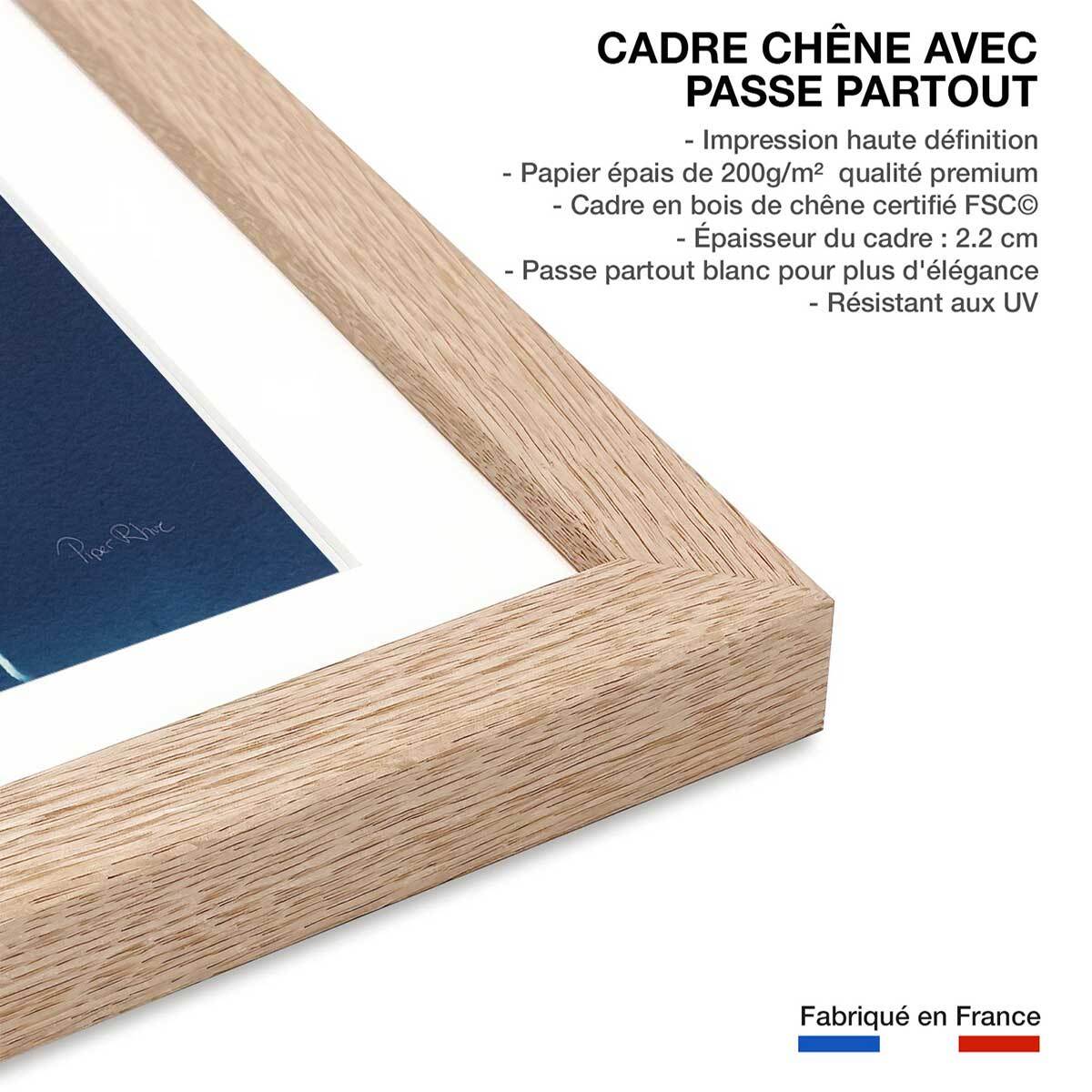 Affiche Fougère bleue Affiche + cadre en bois - Chêne