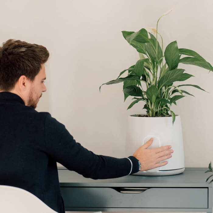 Natede Smart, purificatore d'aria naturale con sistema di monitoraggio