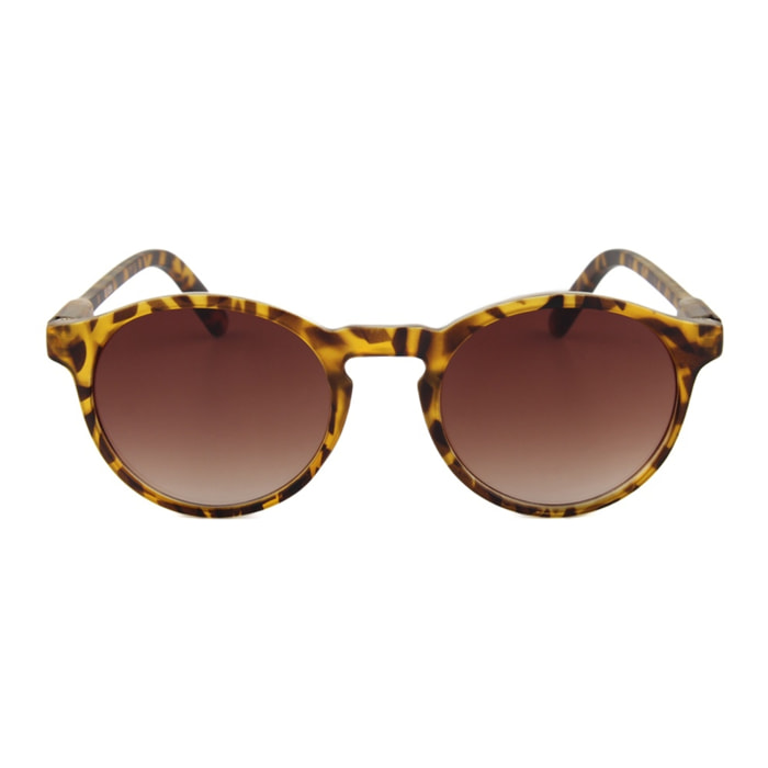Gafas de Sol Sexton 9265-7 - BROWN de Pc Unisex 49 mm