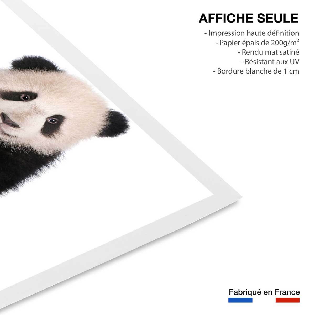 Affiche enfant bébé panda  Affiche seule