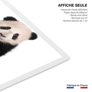 Affiche enfant bébé panda  Affiche seule