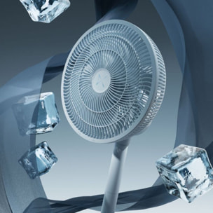 Ventilateur DUUX DXCF105