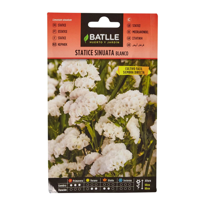 Semillas de Statice blanco Batlle