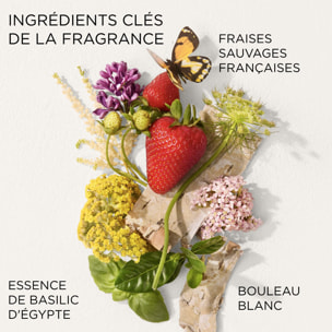 Green Tea Strawberry Basil Honey Drops - Crème Corps 500ml