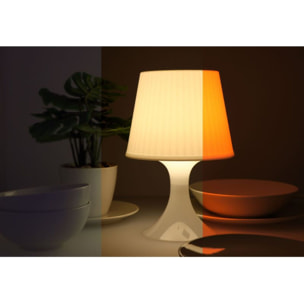 Ampoule LED connectée ESSENTIELB Nuances de Blanc Classique E27