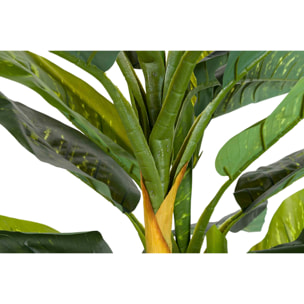 Planta Artificial Dieffenbachia Amoena Con Maceta 65x65x135 Cm