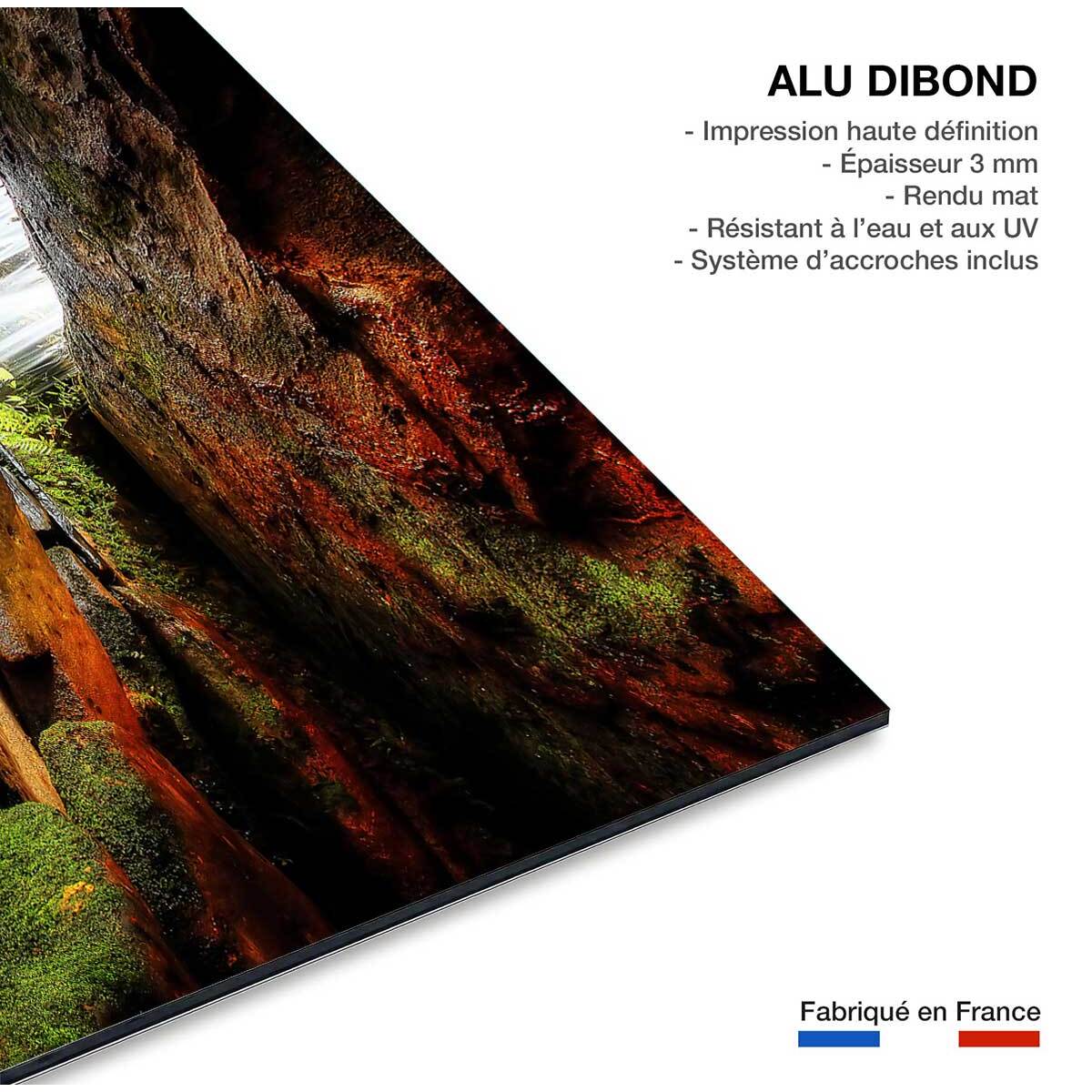 Tableau nature chute d'eau Tableau alu Dibond