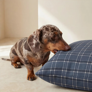 Housse antitaches pour lit pour animal Camilo Blue