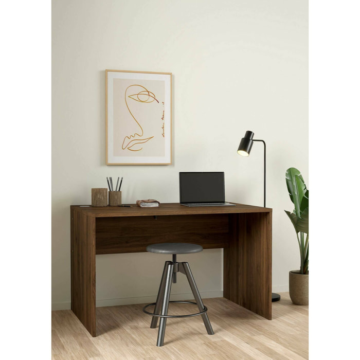 Scrivania MaryRead, Scrittoio multiuso, Tavolo per ufficio porta PC, Piano di lavoro, 120x75 h74 cm, Noce