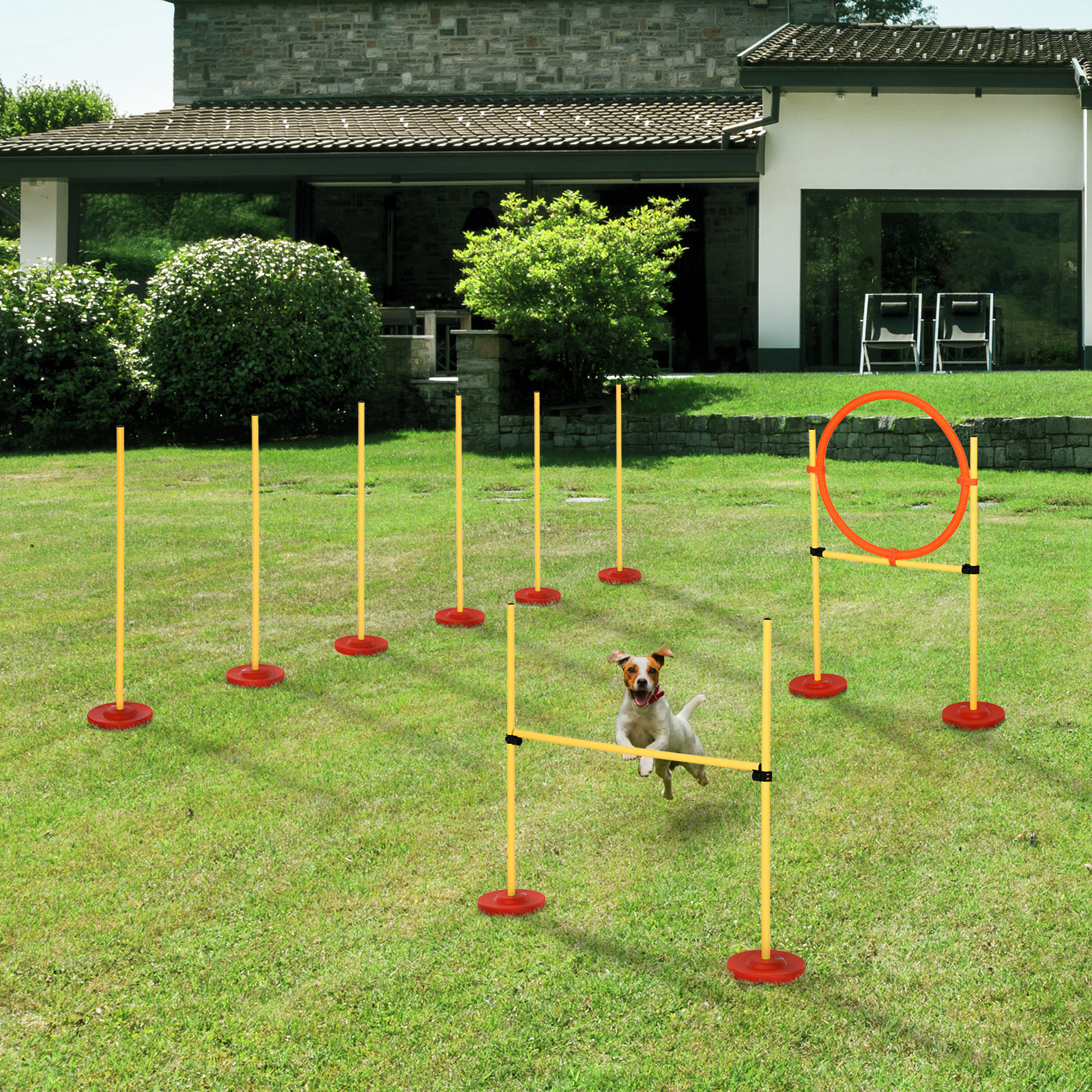 Agility sport pour chiens équipement complet haies, slalom + sac de transport jaune