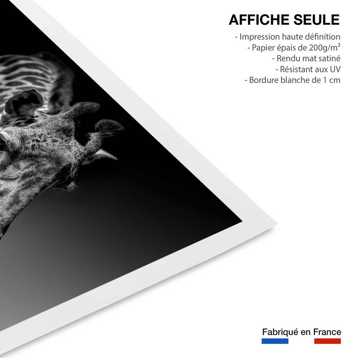 Affiche animaux girafe discrète Affiche seule