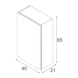 Mobile Pensile Bagno Lafayette, Mobile colonna per bagno, Armadietto sospeso, Bianco lucido, cm 40x21h65 - 1 anta