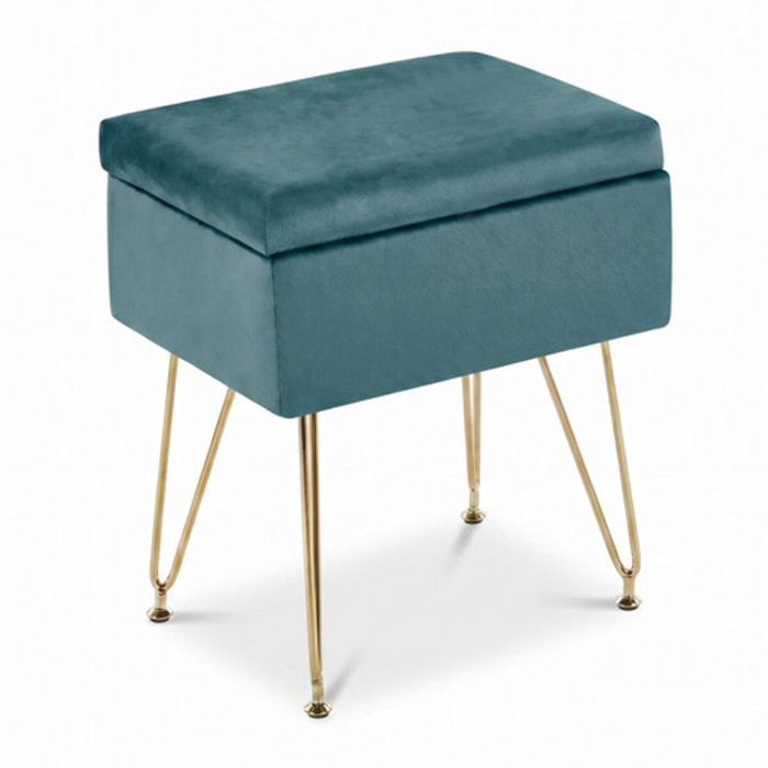 Panca Contenitore in Effetto Velluto con Seduta Imbottita e Vano Portaoggetti, Design Moderno con Gambe in Acciaio per Ingresso, Camera da Letto e Soggiorno