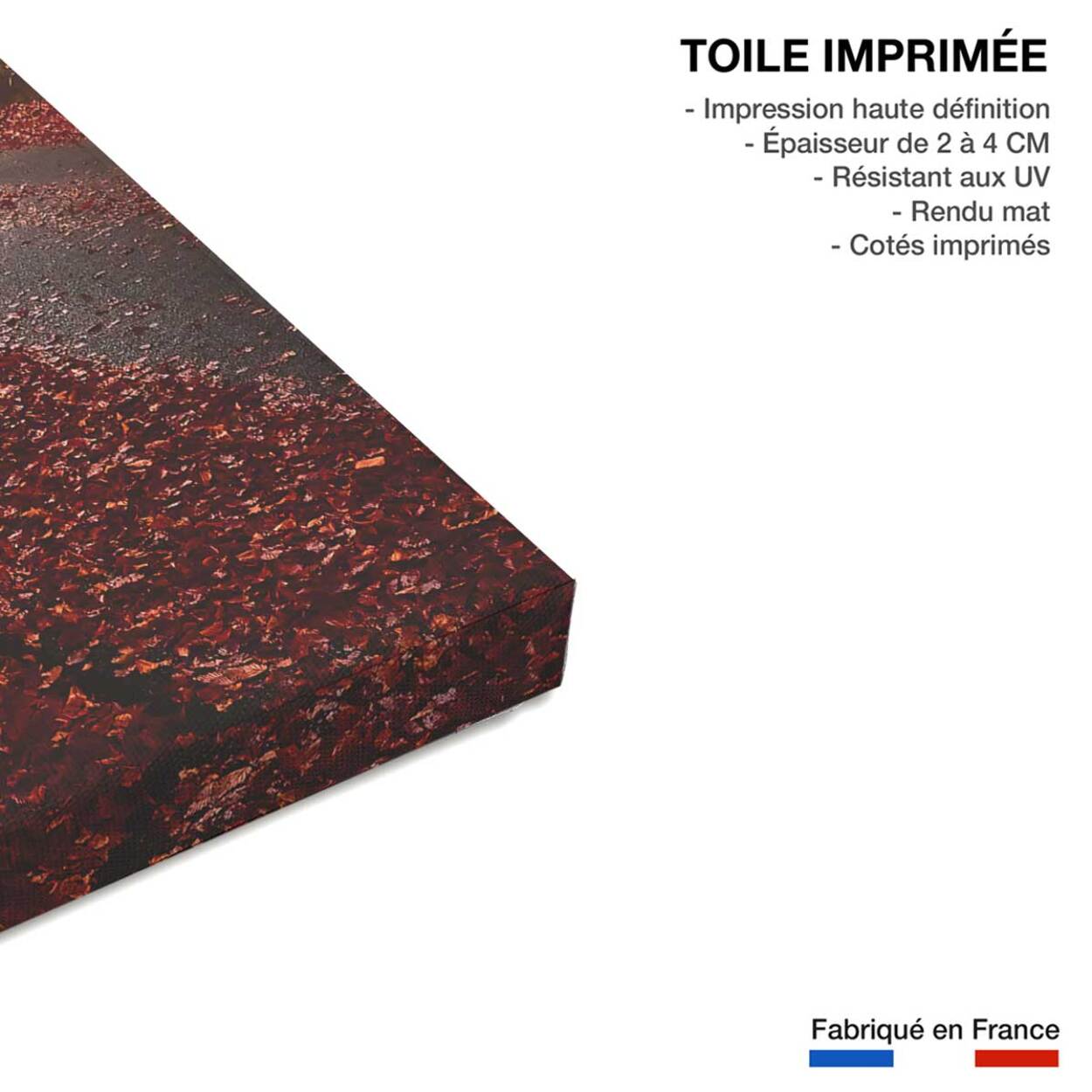 Tableau nature explosion automnale Toile imprimée