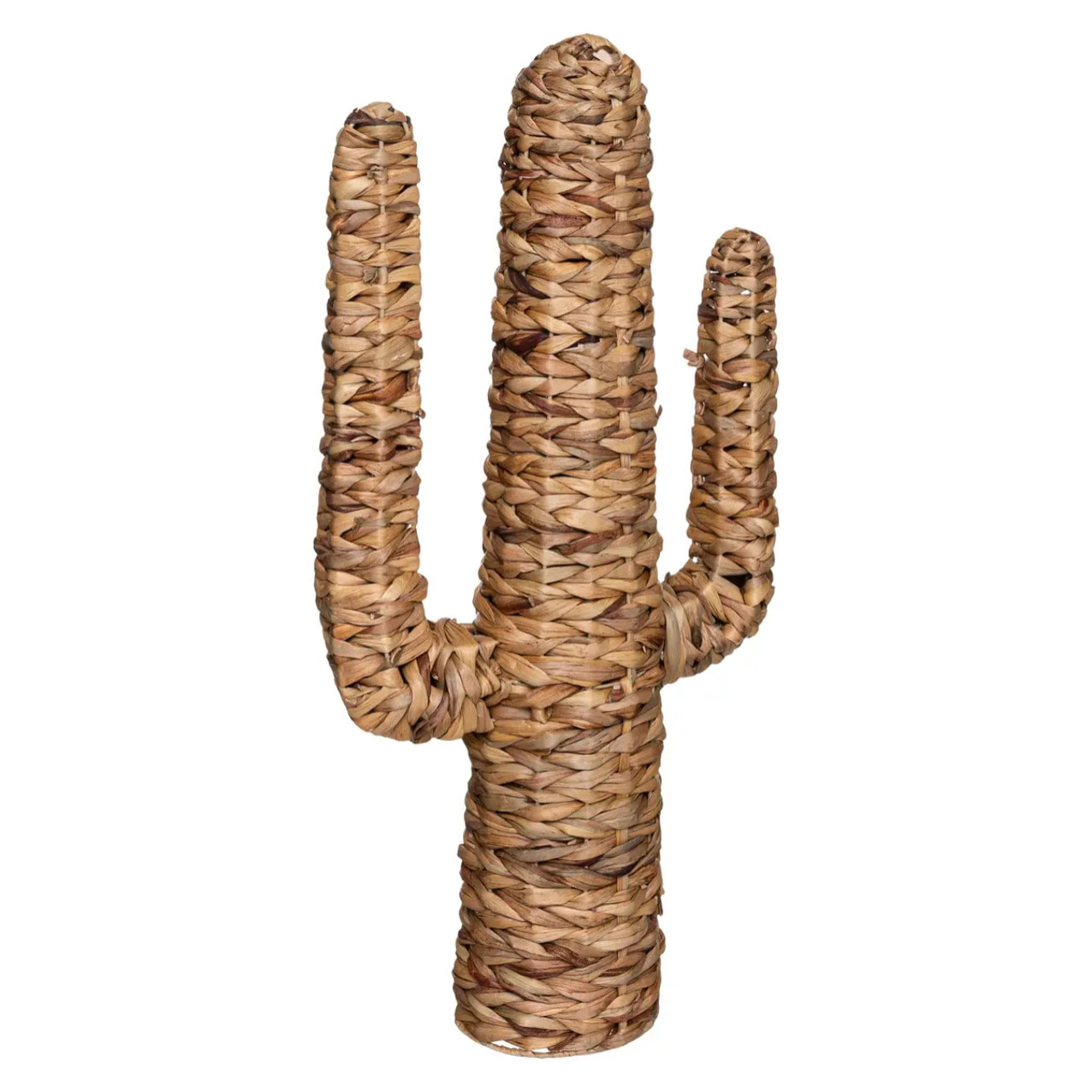 Cactus déco Hacienda H.75cm jacinthe
