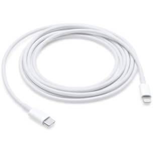 Câble lightning APPLE vers USB-C 2m