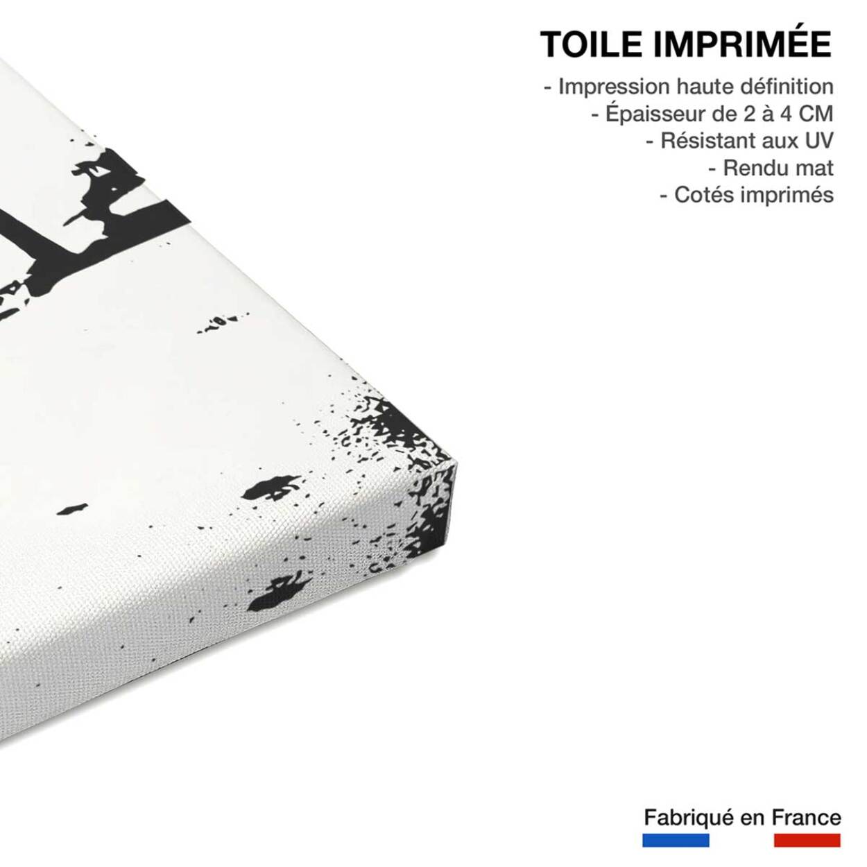 Tableau landes Toile imprimée