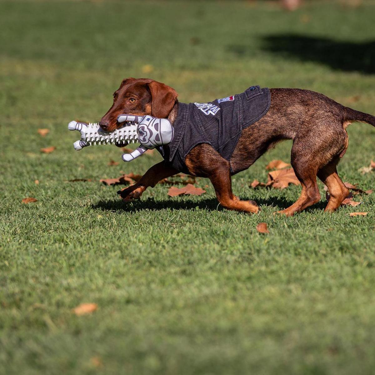 Star Wars Stormtrooper gioco da masticare per cane For Fun Pets Cerdà