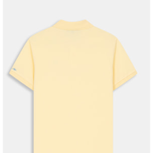POLO ICON COLORS