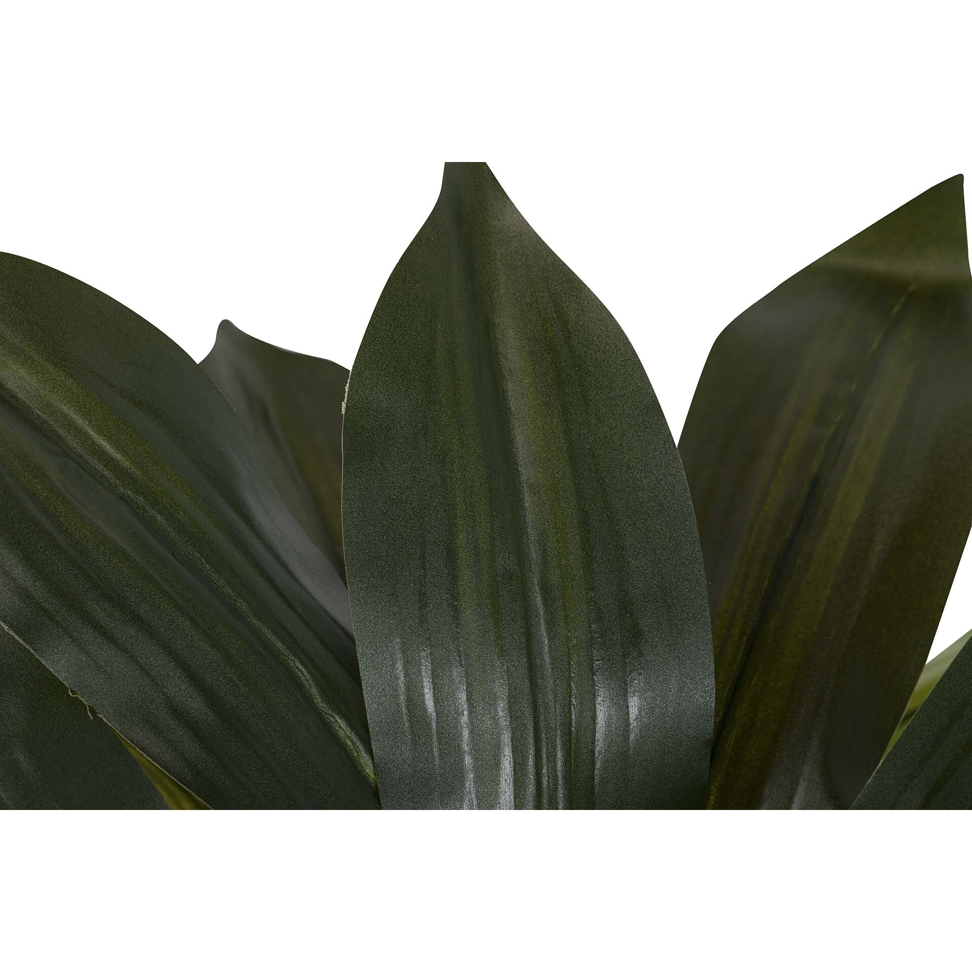 Planta Artificial Dracaena Fragrans Con Maceta 55x55x55 Cm
