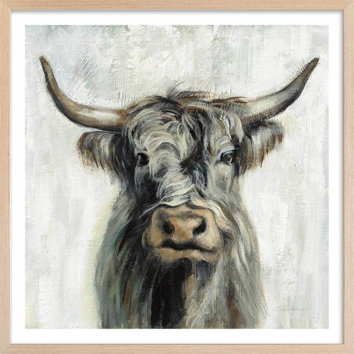 Affiche Vache highland aquarelle Affiche + cadre en bois - Chêne