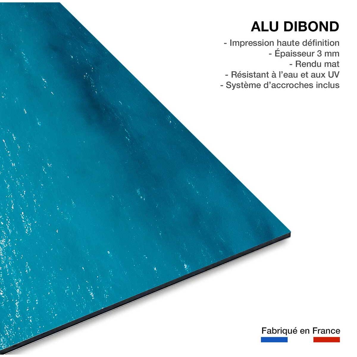 Tableau mer croisement bleu  Tableau alu Dibond