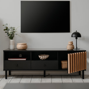 Meuble TV 1 porte, 2 tiroirs, 2 niches - MORGAN
