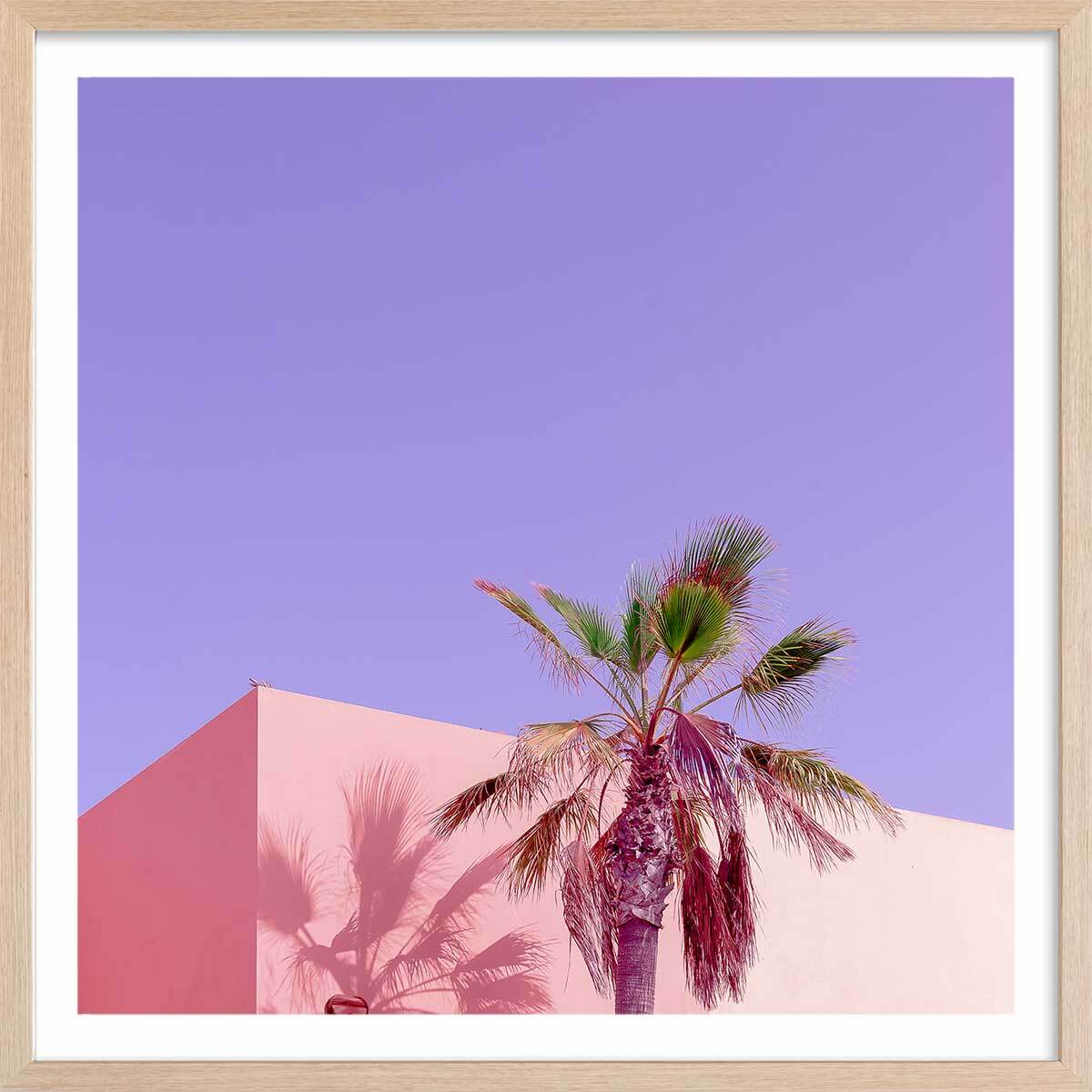 Affiche photo pink palma Affiche + cadre en bois - Chêne