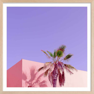 Affiche photo pink palma Affiche + cadre en bois - Chêne