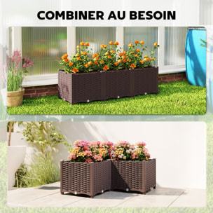 Jardinière surélevée auto-irrigantes trous de drainage PP marron