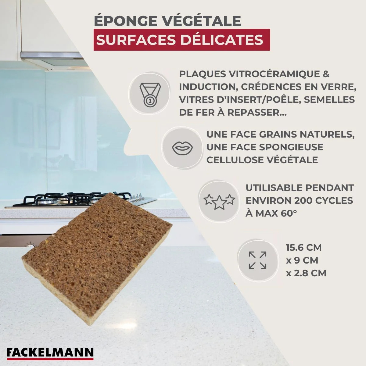 Éponge Végétale Multi-Surfaces fragiles Fackelmann Tecno