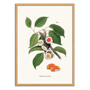Art-Poster - Sushi Plant - Jonas Loose - 50 x 70 cm