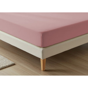 Lenzuolo Sotto Con Angoli No Stiro Tinta Unita Francesca Orchidea