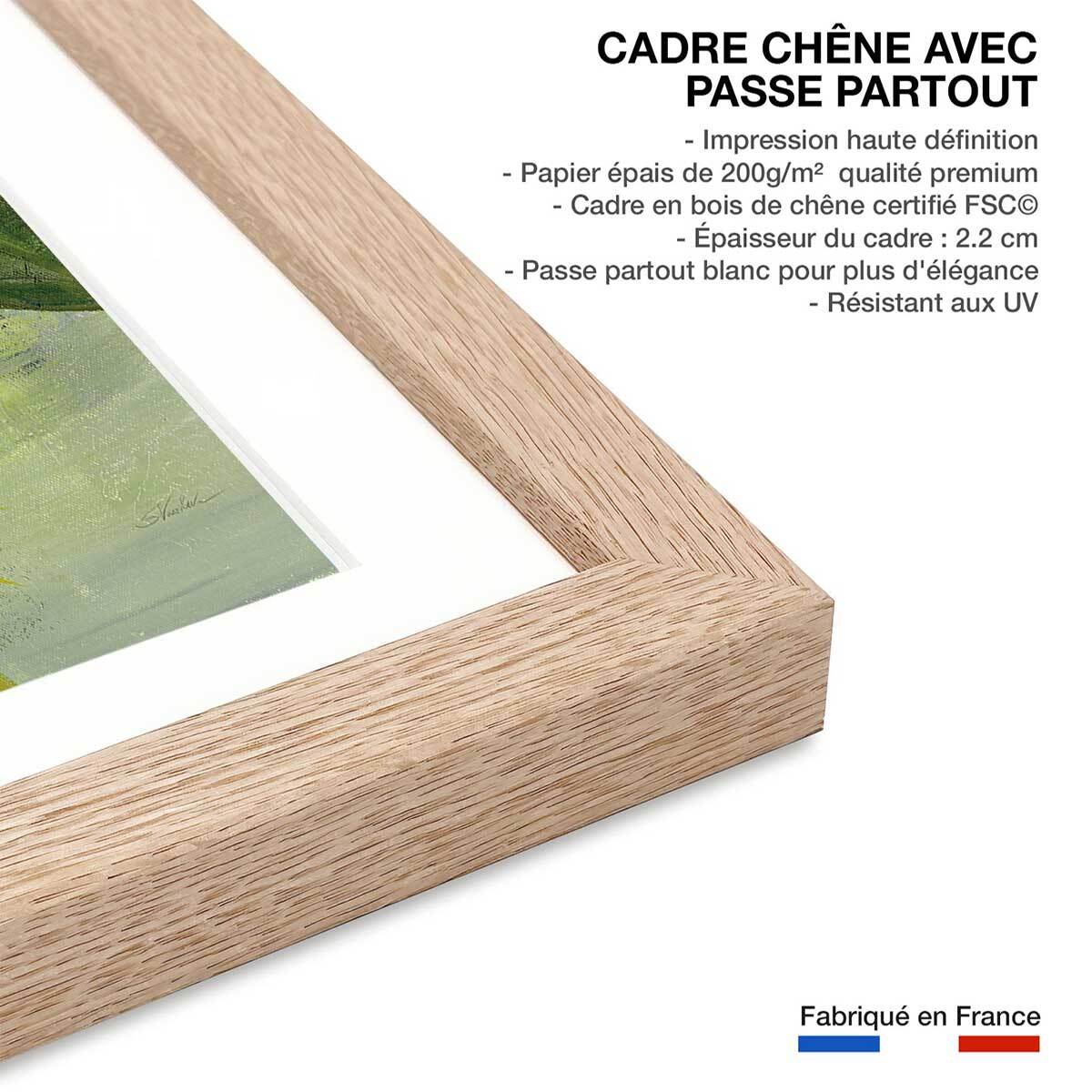 Poster Feuillage tropical Affiche + cadre en bois - Chêne