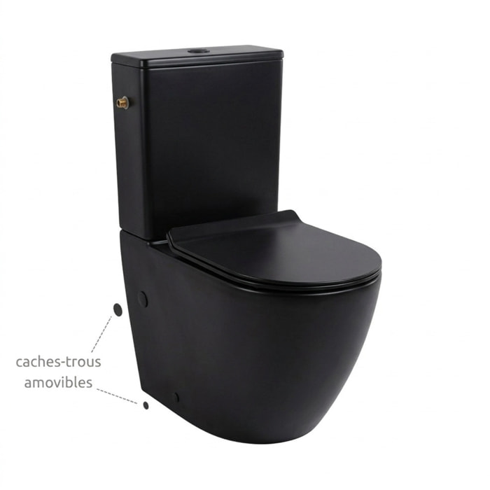 PixL WC à poser sans bride + abattant SoftClose + réservoir de chasse, alimentation latérale, noir mat (CEPX030RREXVPBKM)