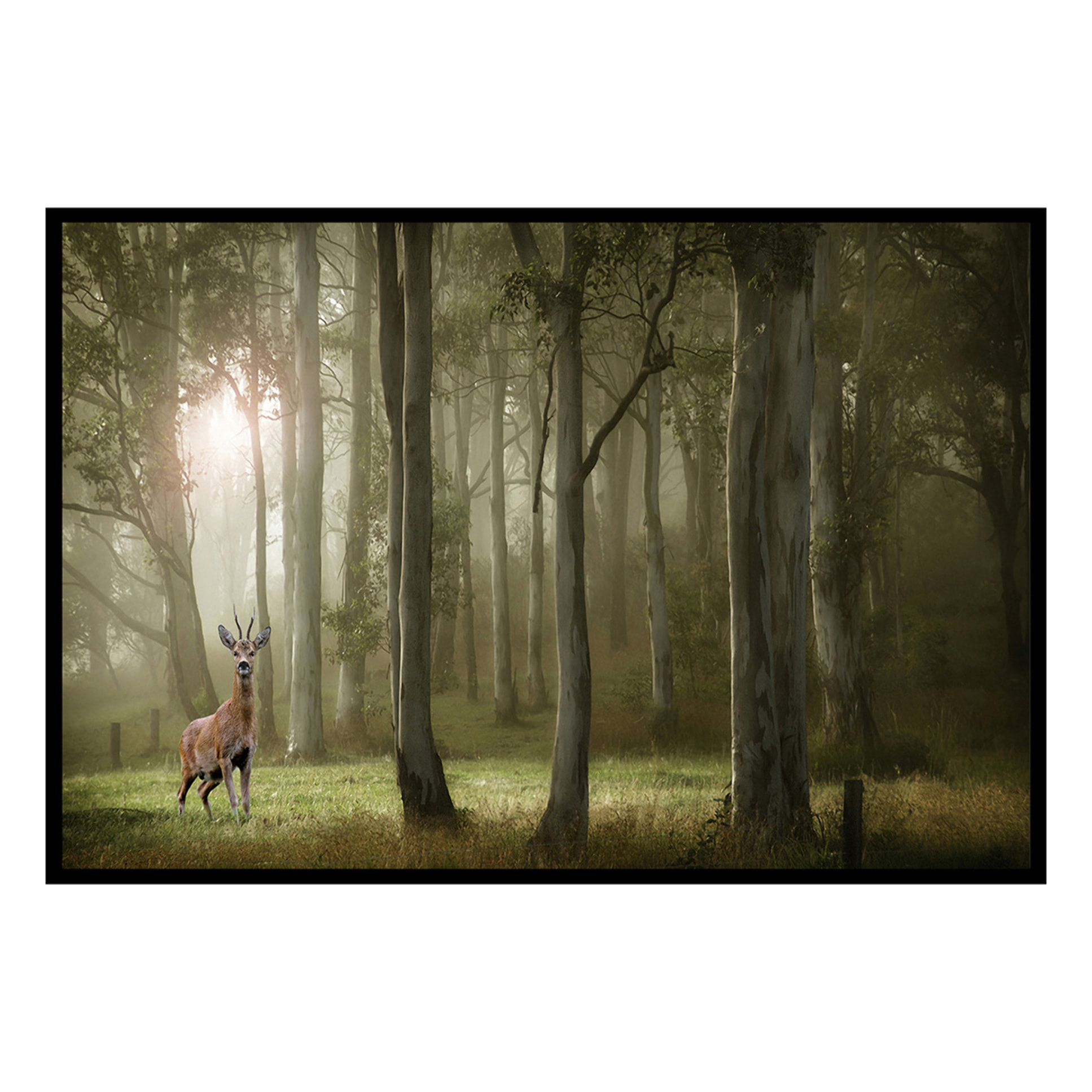 Affiche encadrée – Chevreuil dans une forêt brumeuse Affiche + cadre en métal - Noir