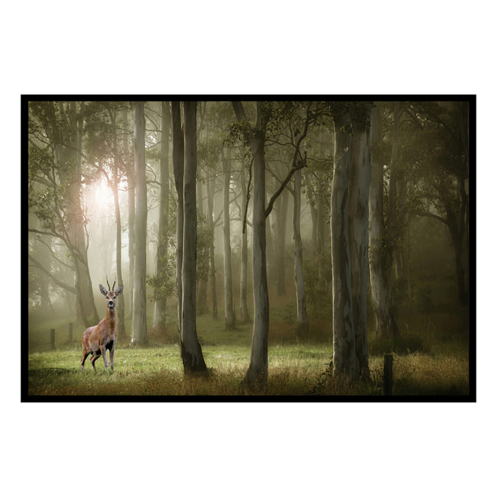 Affiche encadrée – Chevreuil dans une forêt brumeuse Affiche + cadre en métal - Noir